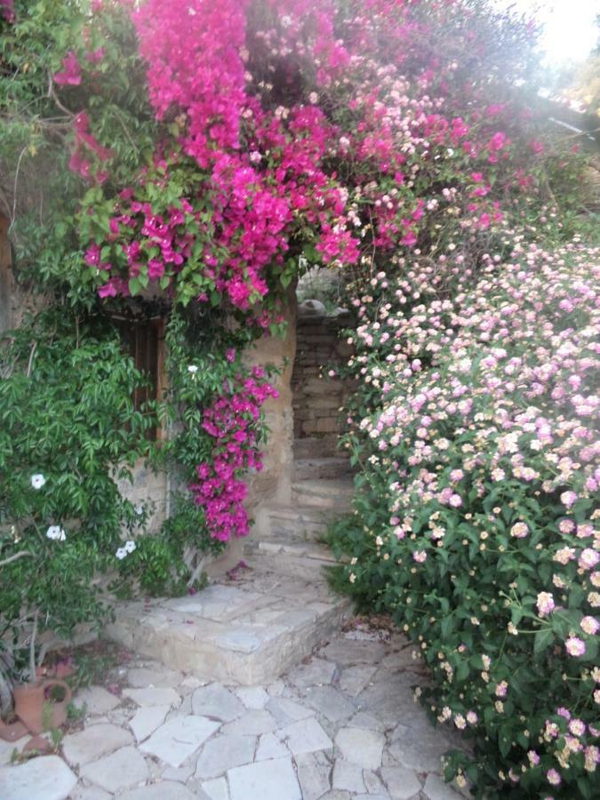 Oleander Stone House Villa Lemona Bagian luar foto