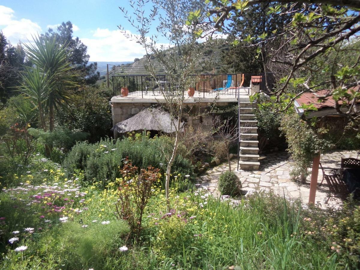 Oleander Stone House Villa Lemona Bagian luar foto